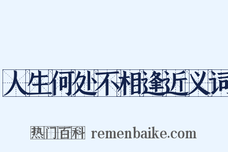 人生何处不相逢近义词是什么意思的图片